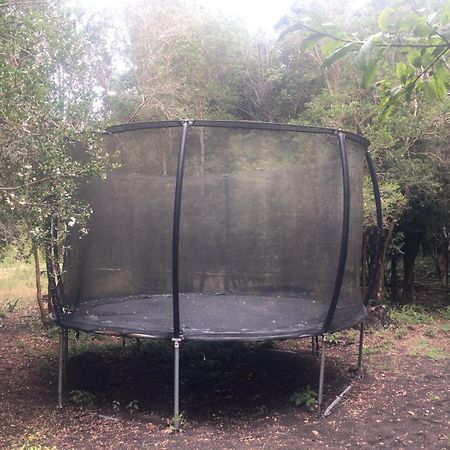 Cabanas Ensenada Bosque Nativo 외부 사진