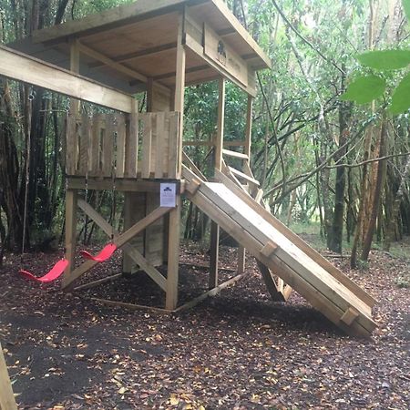 Cabanas Ensenada Bosque Nativo 외부 사진