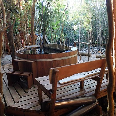 Cabanas Ensenada Bosque Nativo 외부 사진