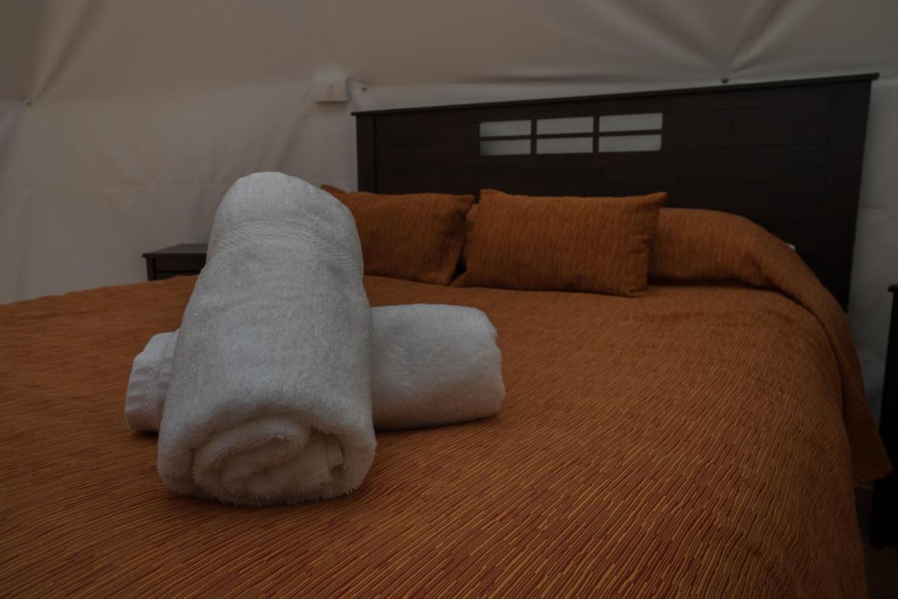 Cabanas Ensenada Bosque Nativo 외부 사진