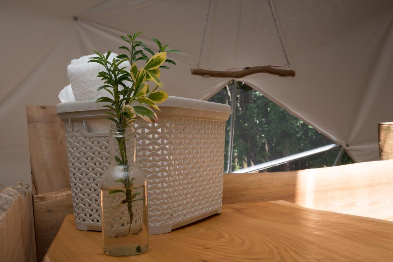 Cabanas Ensenada Bosque Nativo 외부 사진