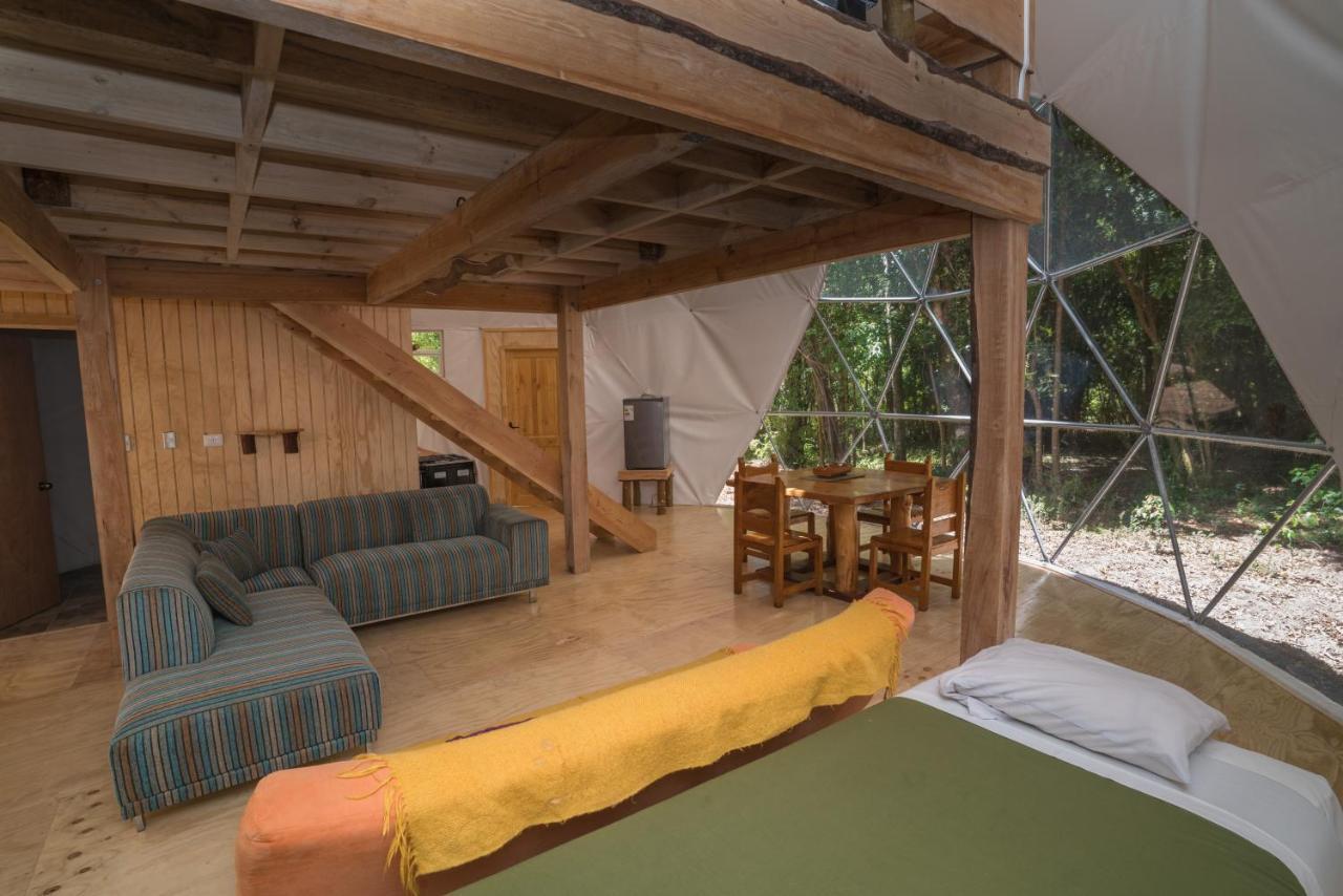 Cabanas Ensenada Bosque Nativo 외부 사진