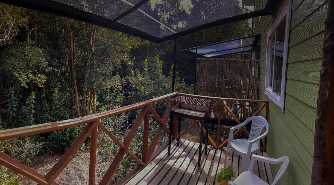 Cabanas Ensenada Bosque Nativo 외부 사진
