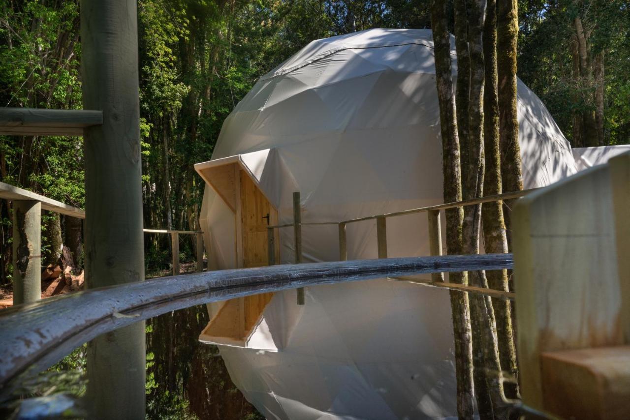 Cabanas Ensenada Bosque Nativo 외부 사진