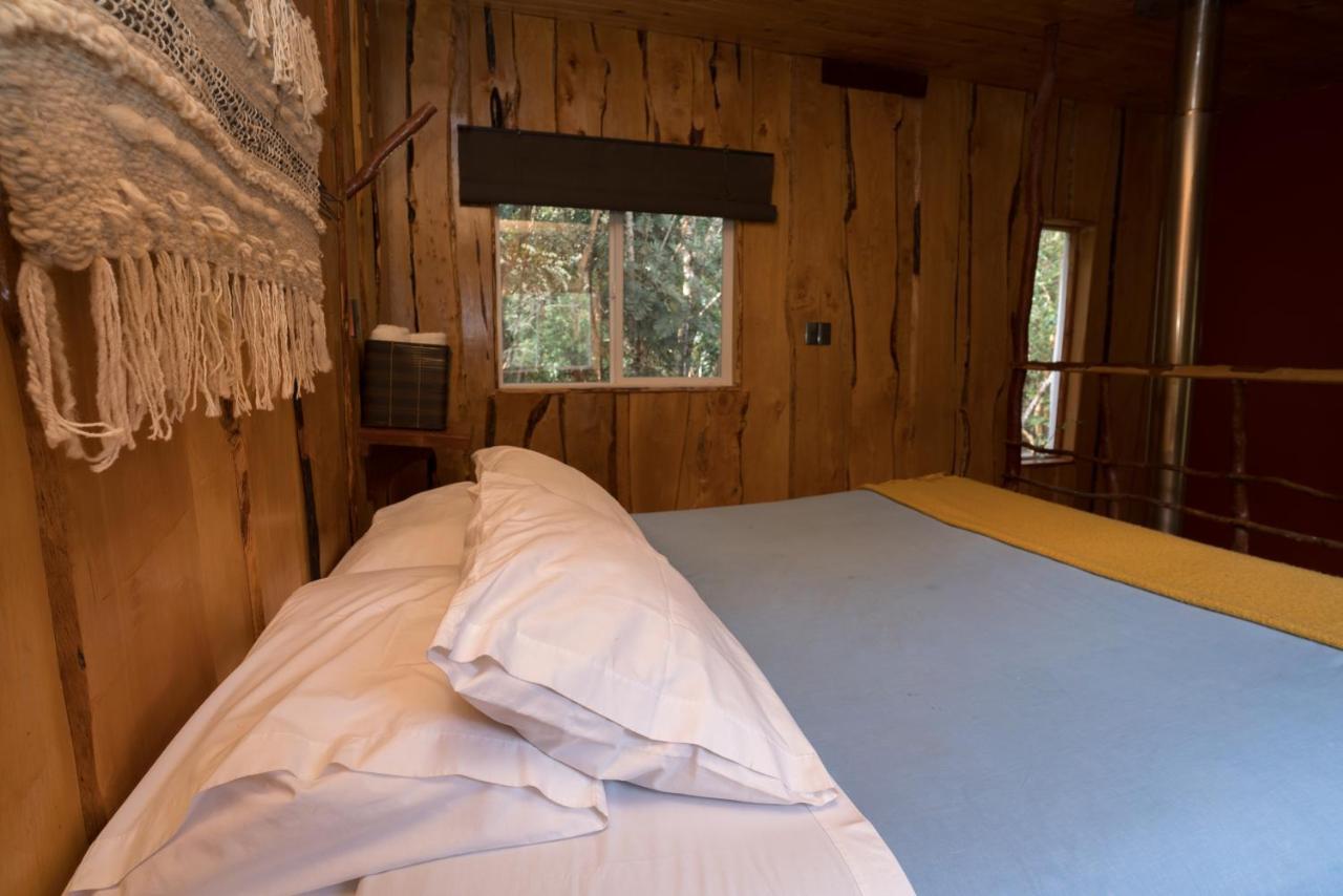 Cabanas Ensenada Bosque Nativo 외부 사진