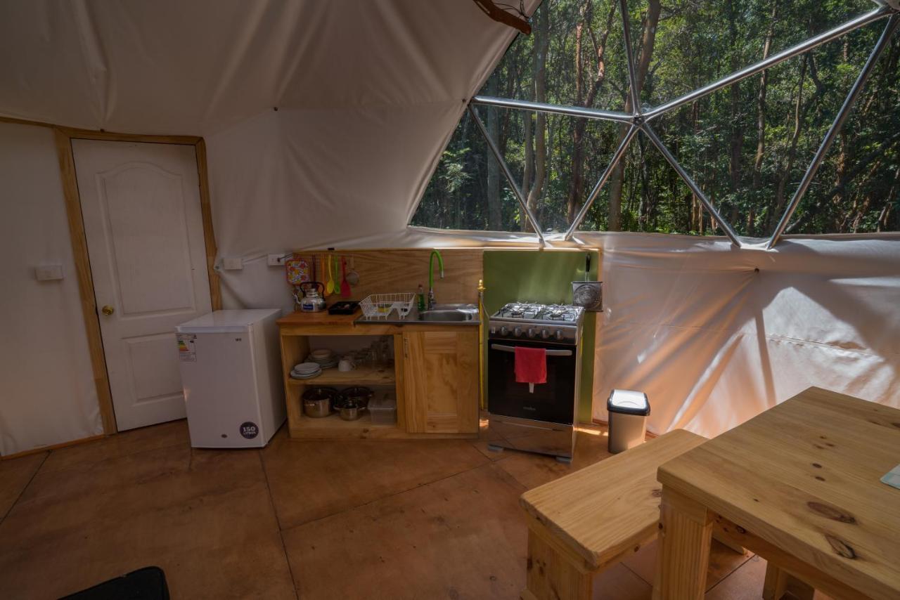 Cabanas Ensenada Bosque Nativo 외부 사진