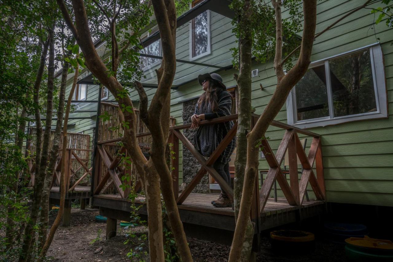 Cabanas Ensenada Bosque Nativo 외부 사진