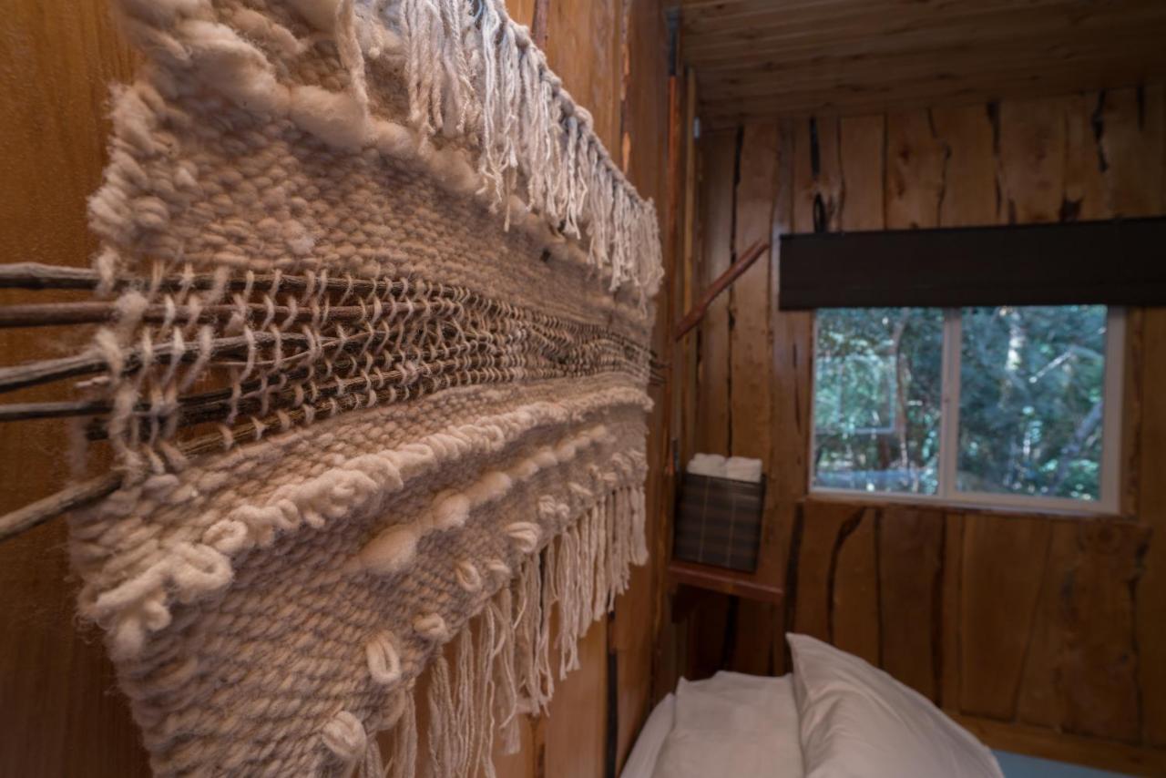 Cabanas Ensenada Bosque Nativo 외부 사진