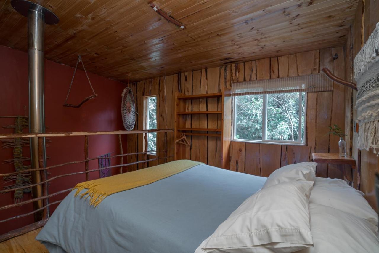 Cabanas Ensenada Bosque Nativo 외부 사진