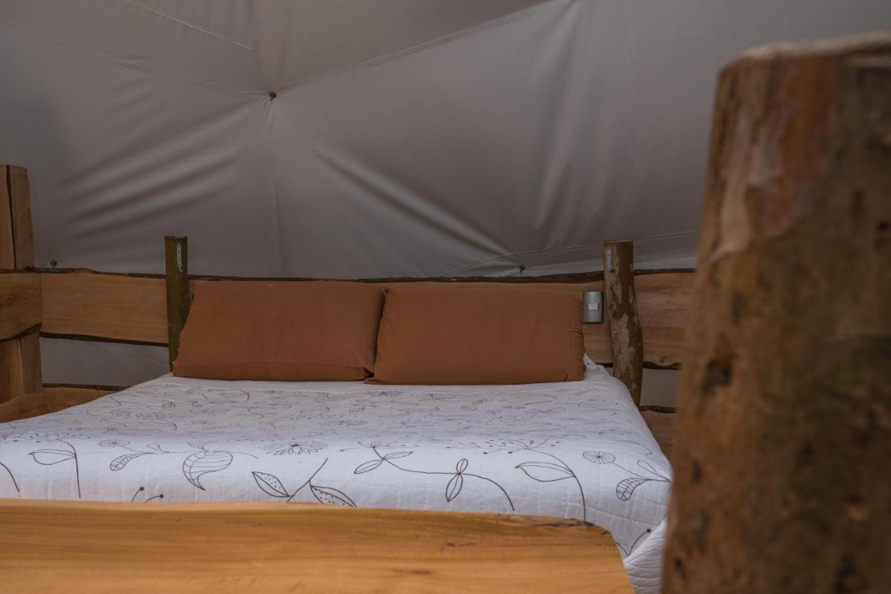 Cabanas Ensenada Bosque Nativo 외부 사진