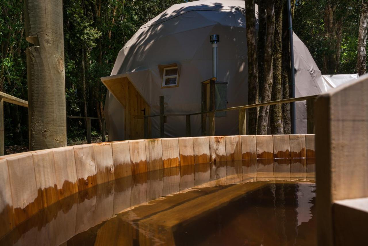 Cabanas Ensenada Bosque Nativo 외부 사진