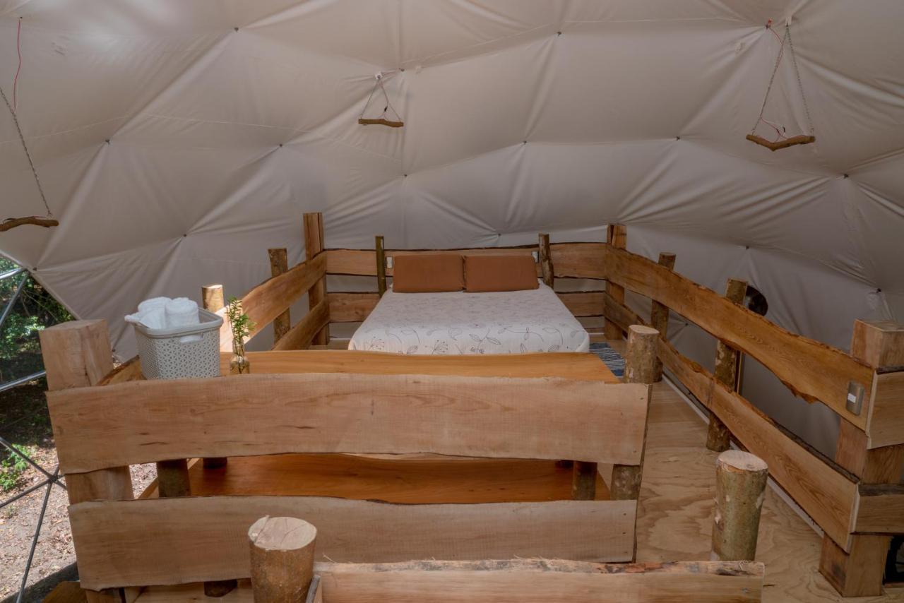 Cabanas Ensenada Bosque Nativo 외부 사진