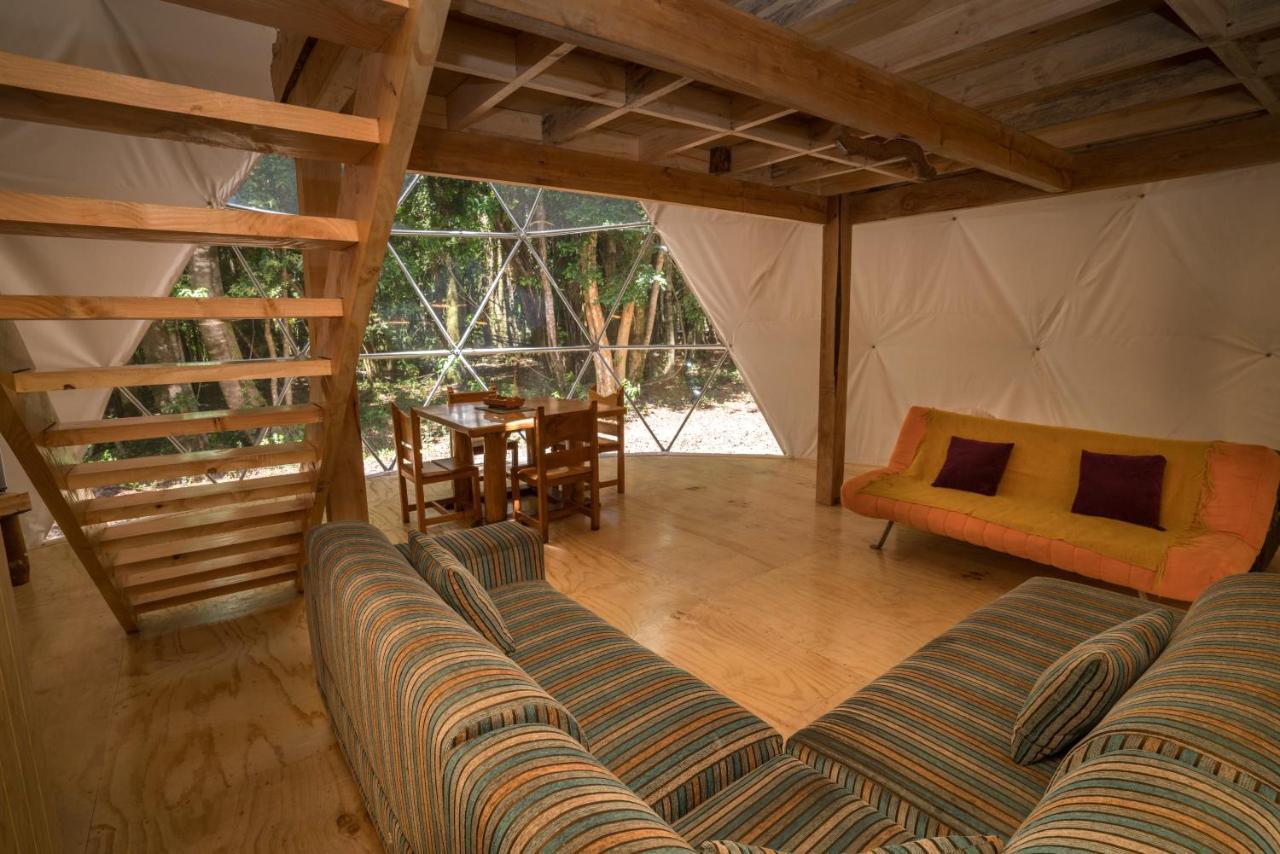 Cabanas Ensenada Bosque Nativo 외부 사진
