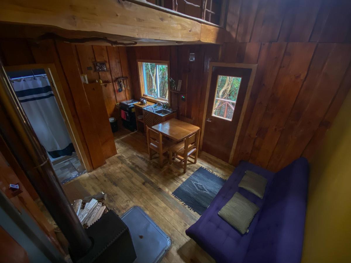 Cabanas Ensenada Bosque Nativo 외부 사진