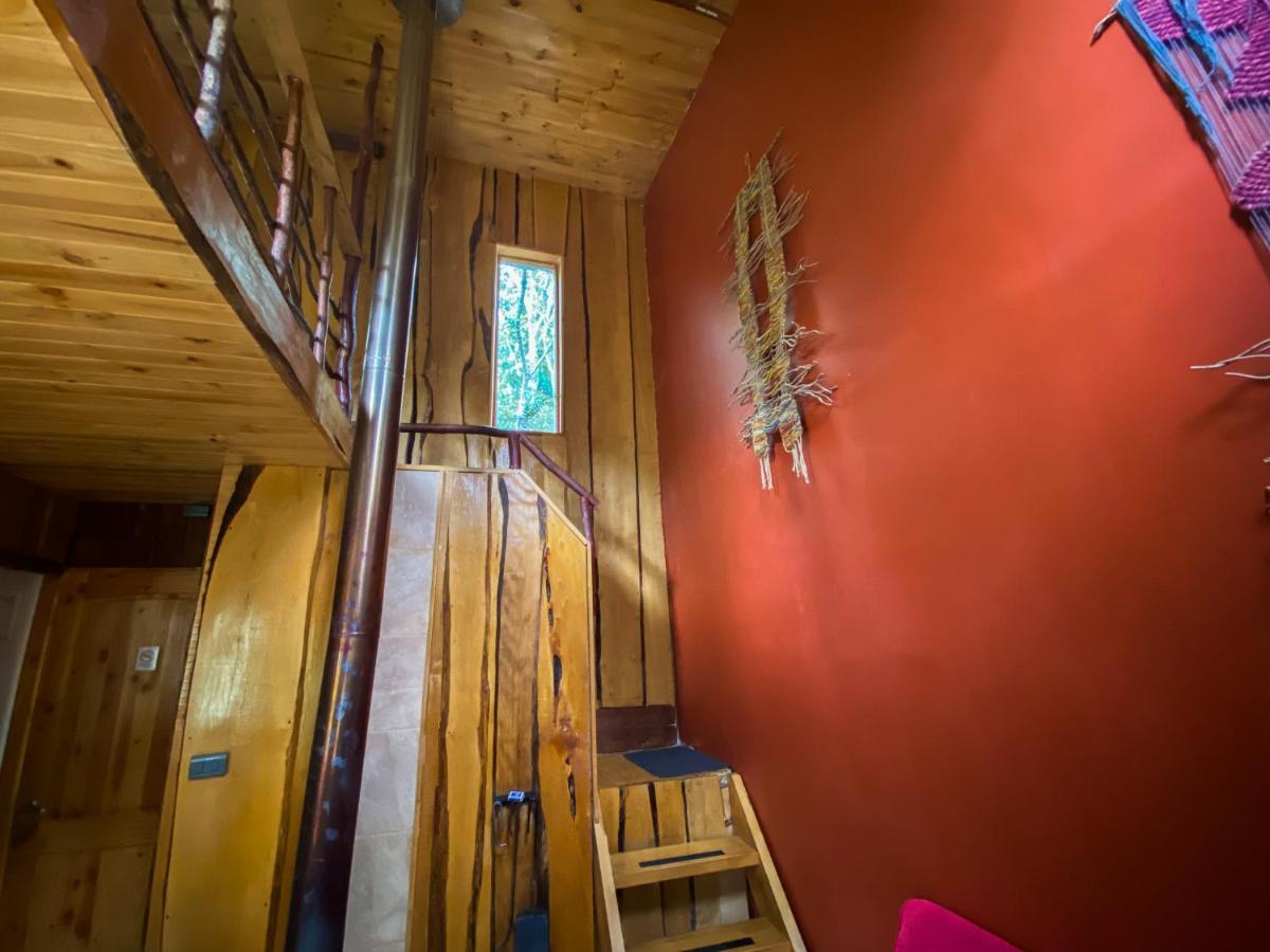 Cabanas Ensenada Bosque Nativo 외부 사진