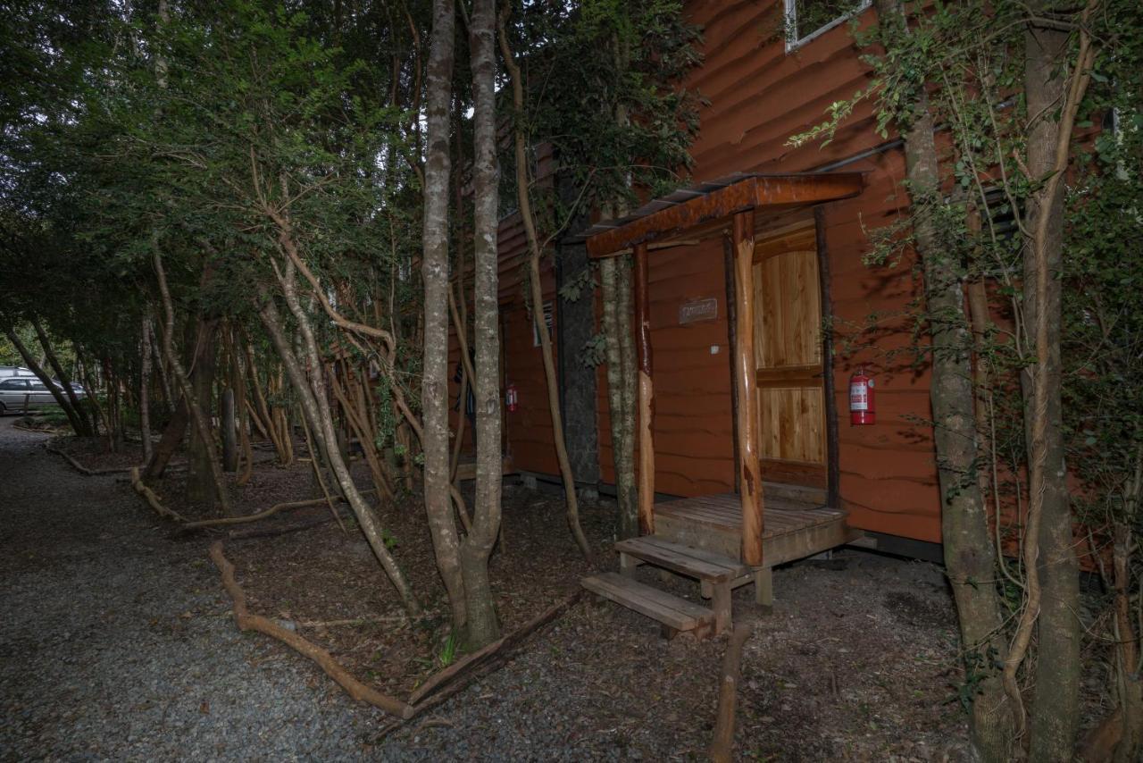 Cabanas Ensenada Bosque Nativo 외부 사진