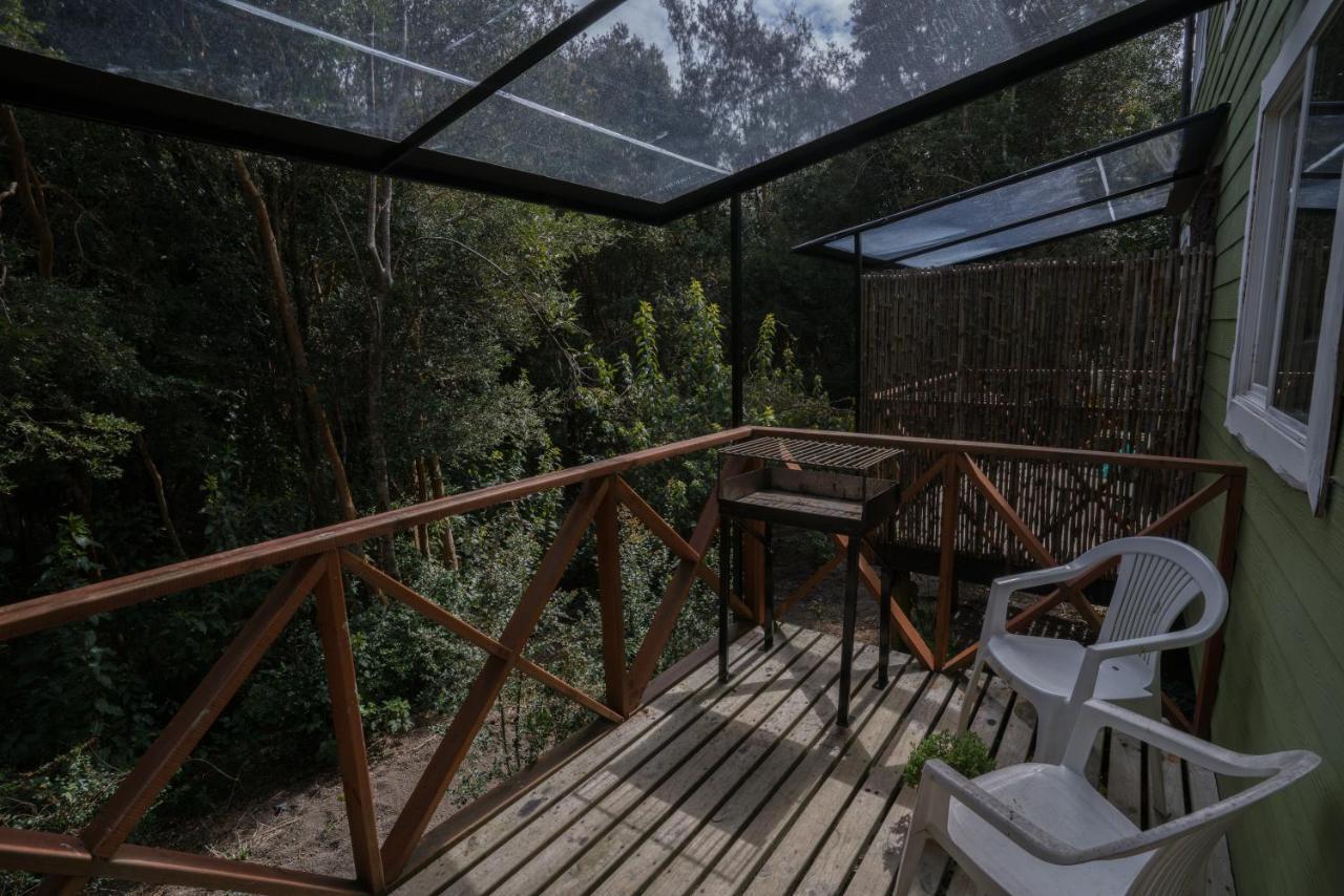Cabanas Ensenada Bosque Nativo 외부 사진