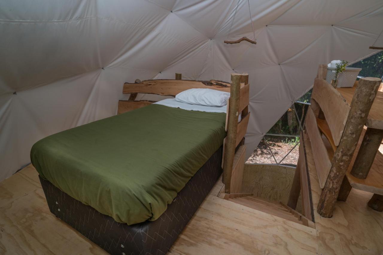 Cabanas Ensenada Bosque Nativo 외부 사진