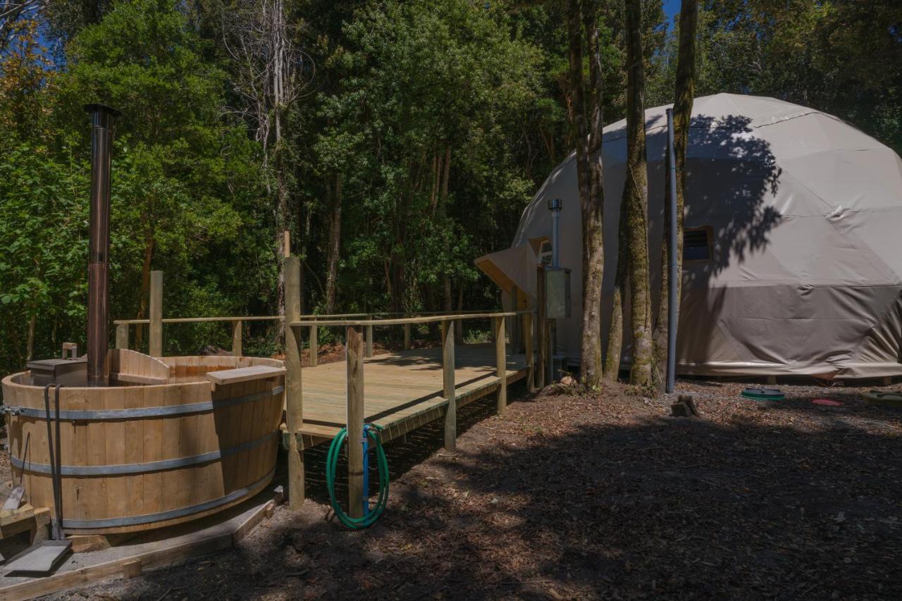 Cabanas Ensenada Bosque Nativo 외부 사진