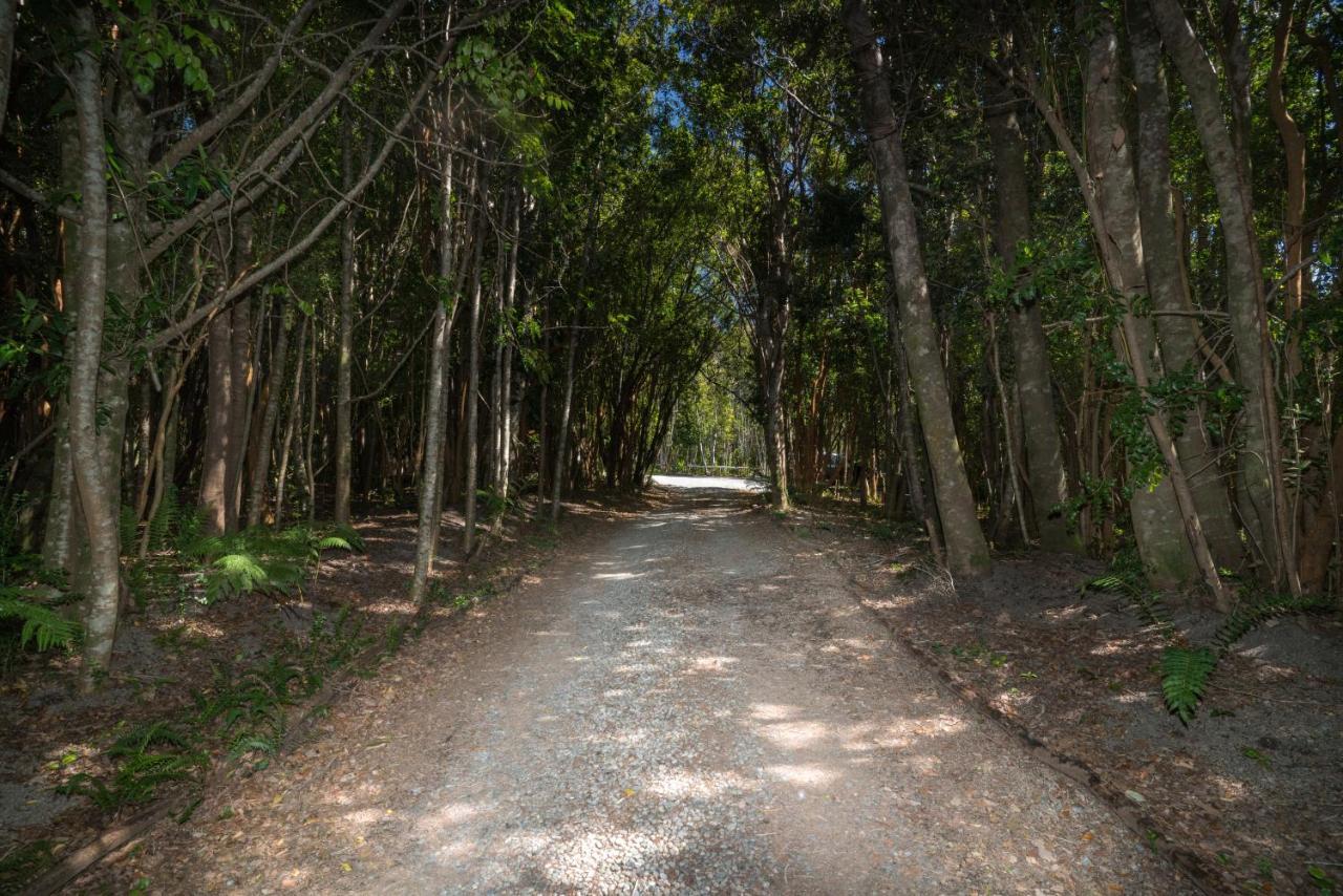 Cabanas Ensenada Bosque Nativo 외부 사진