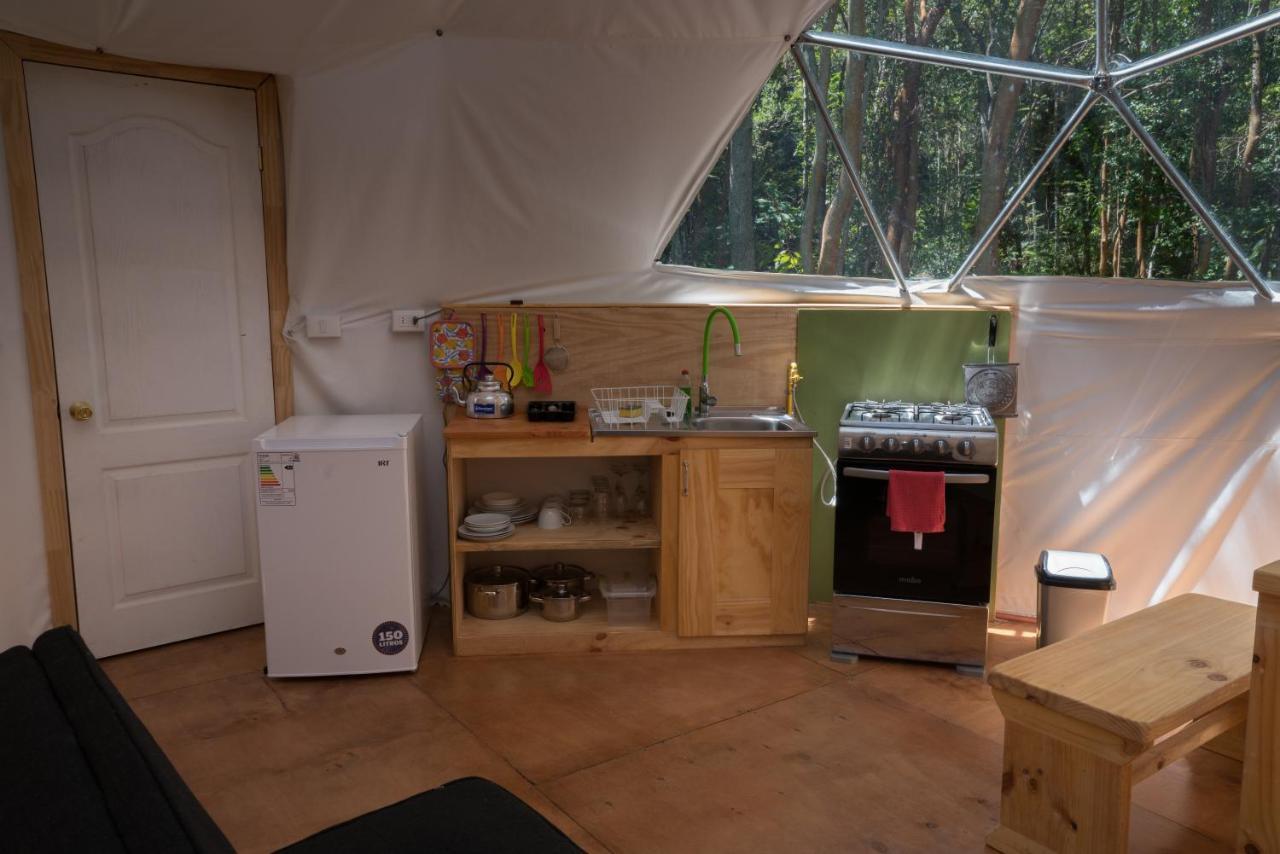 Cabanas Ensenada Bosque Nativo 외부 사진