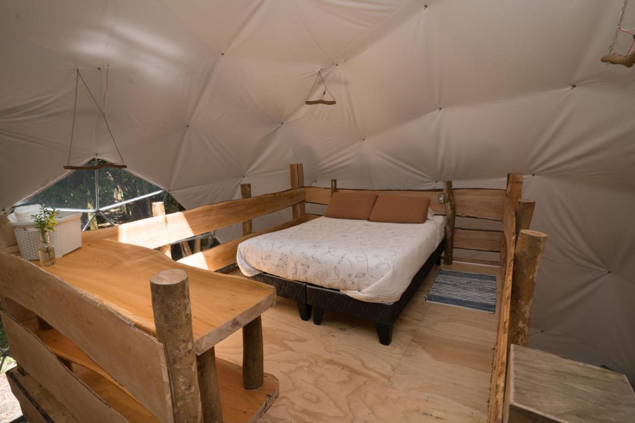 Cabanas Ensenada Bosque Nativo 외부 사진