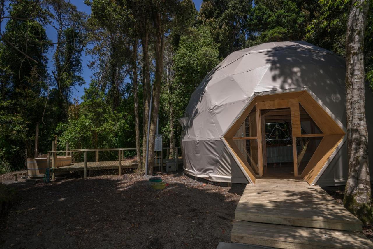 Cabanas Ensenada Bosque Nativo 외부 사진