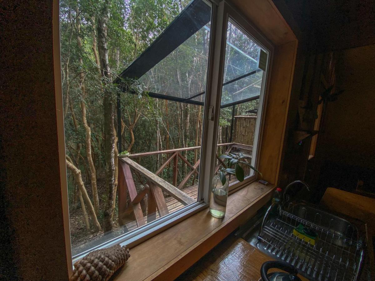 Cabanas Ensenada Bosque Nativo 외부 사진