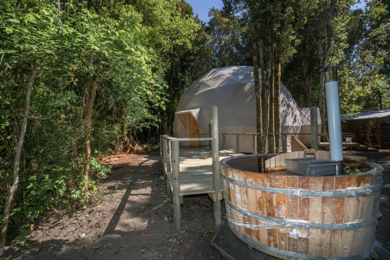 Cabanas Ensenada Bosque Nativo 외부 사진