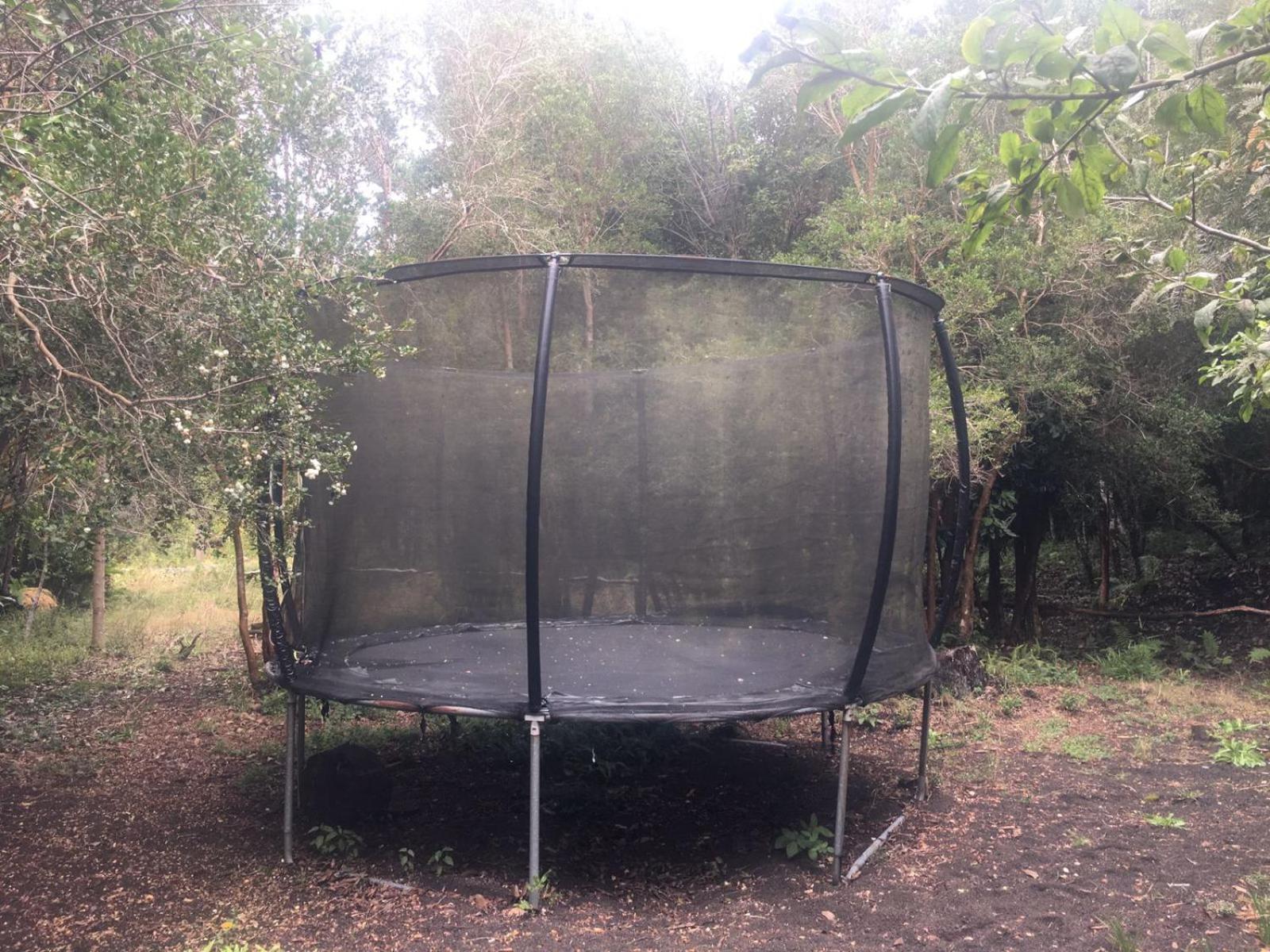Cabanas Ensenada Bosque Nativo 외부 사진