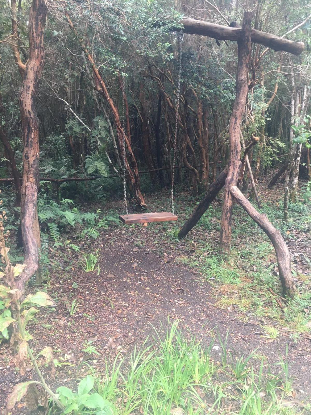 Cabanas Ensenada Bosque Nativo 외부 사진