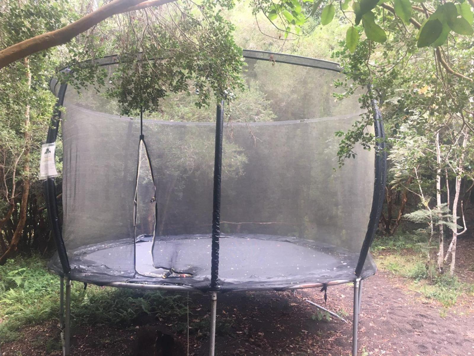 Cabanas Ensenada Bosque Nativo 외부 사진