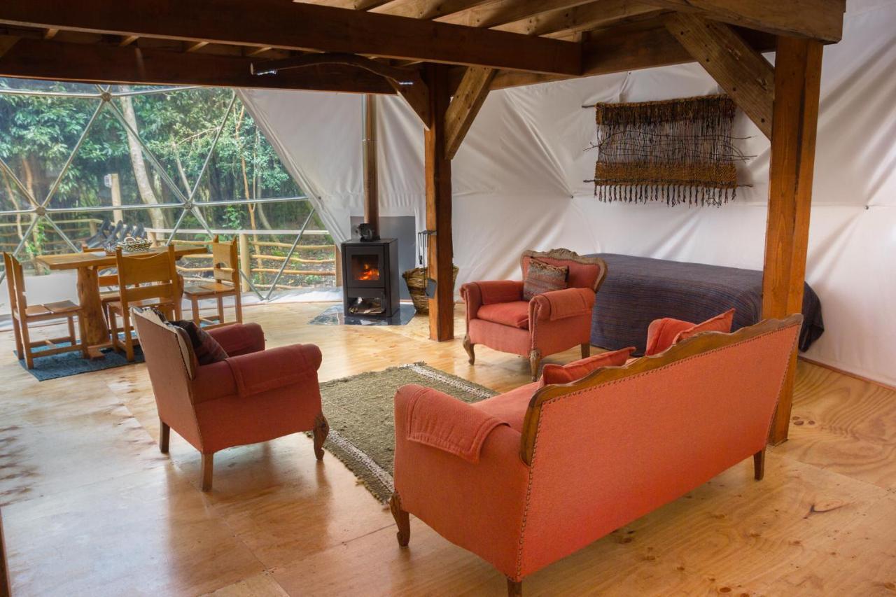 Cabanas Ensenada Bosque Nativo 외부 사진
