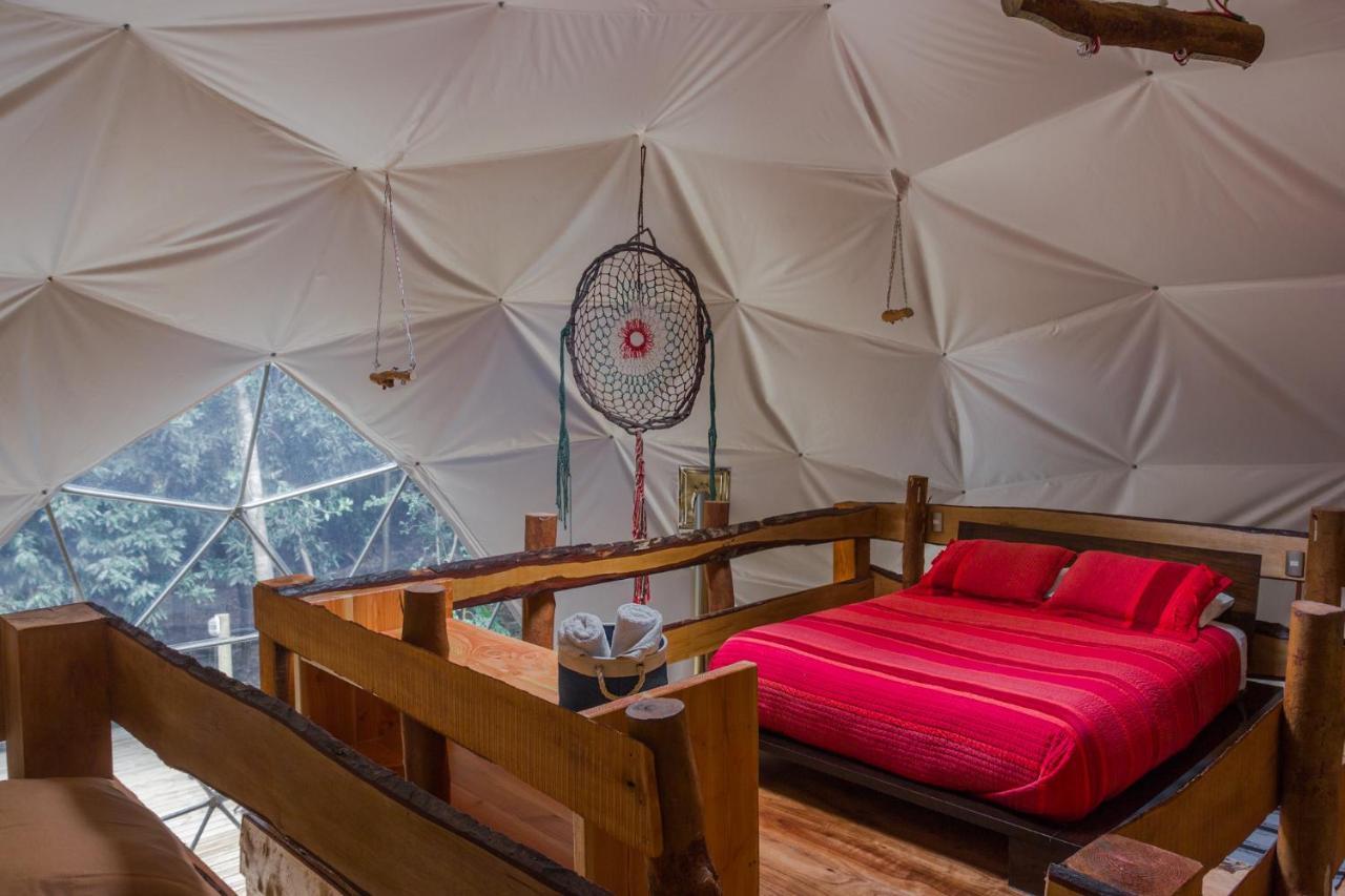 Cabanas Ensenada Bosque Nativo 외부 사진