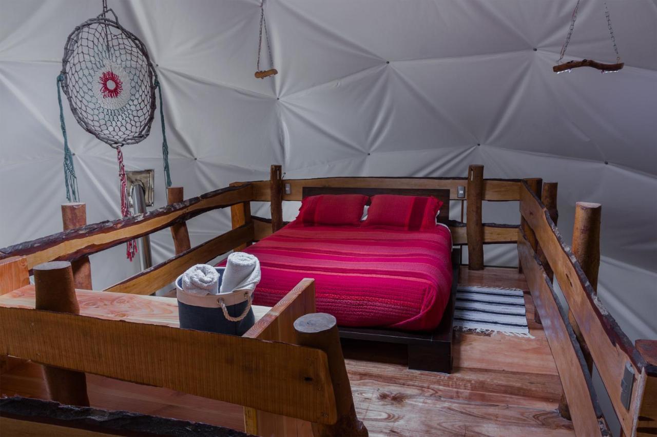 Cabanas Ensenada Bosque Nativo 외부 사진