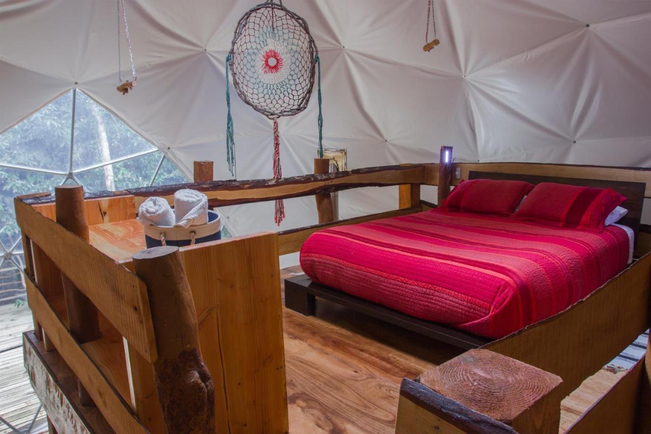 Cabanas Ensenada Bosque Nativo 외부 사진