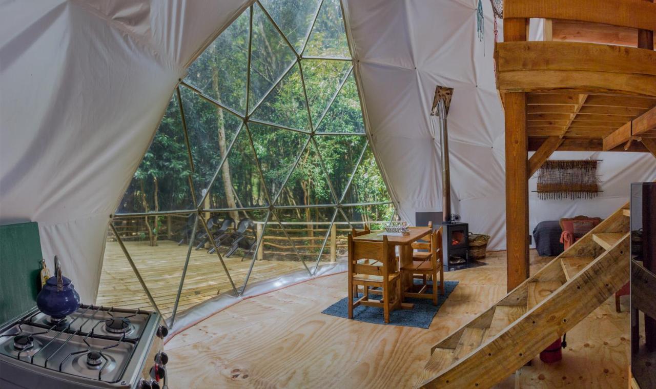 Cabanas Ensenada Bosque Nativo 외부 사진