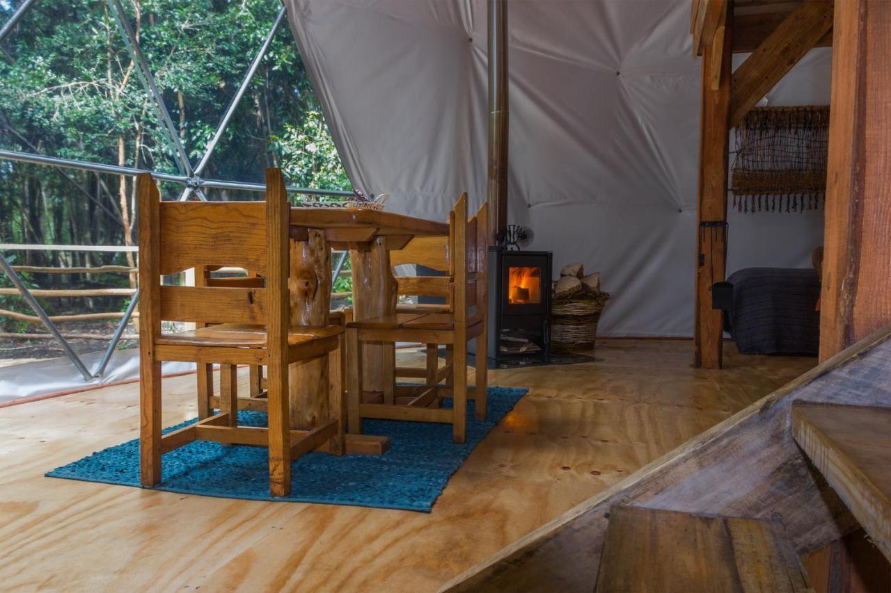 Cabanas Ensenada Bosque Nativo 외부 사진