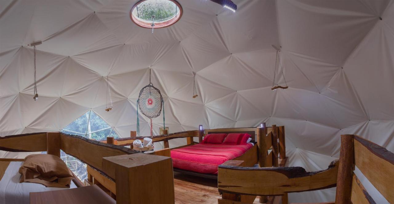 Cabanas Ensenada Bosque Nativo 외부 사진