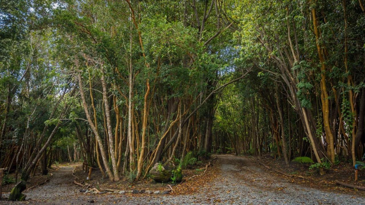 Cabanas Ensenada Bosque Nativo 외부 사진