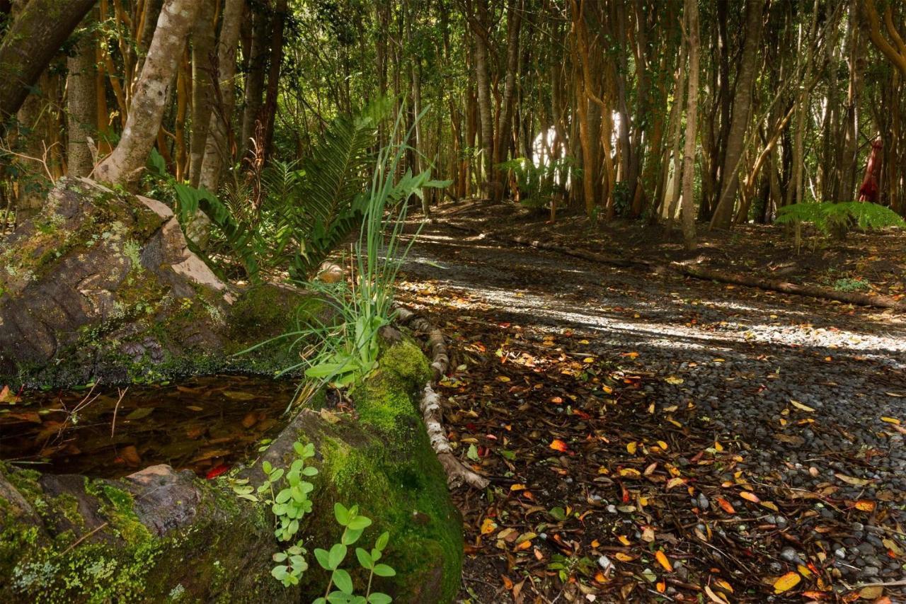 Cabanas Ensenada Bosque Nativo 외부 사진